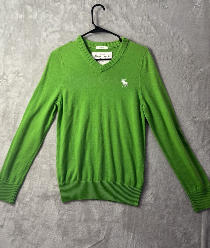 Abercrombie & Fitch Muscle Fit Mens M Green V Neck Sweater Embroidered Moose-image