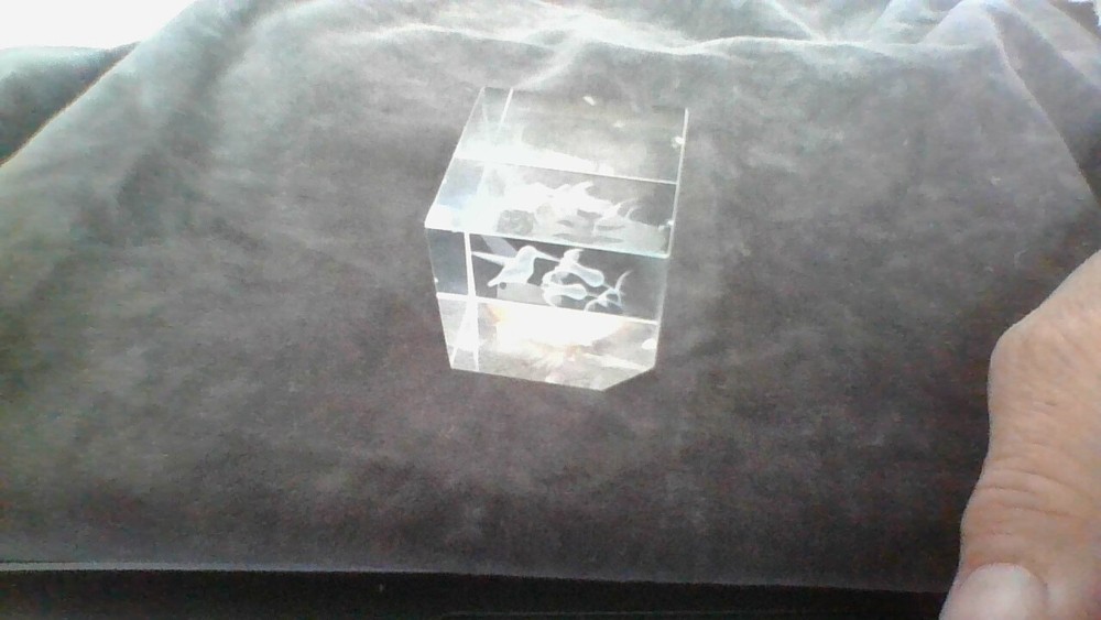 AMAZING 3-D Laser Etched Hummingbird Mini Paperweight Clear Glass Cube LOVELY