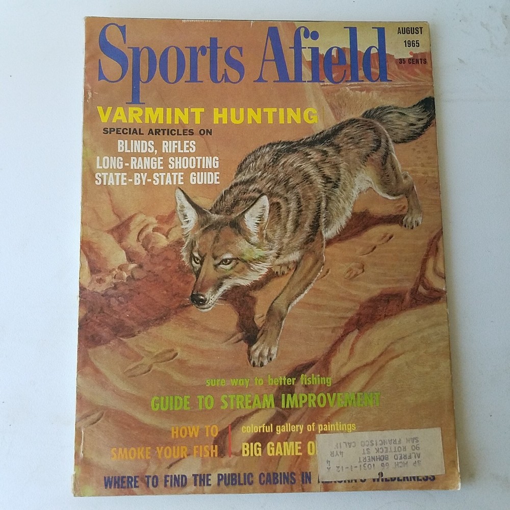 Sports Afield August 1965 Varmint Hunting Blinds Rifles Long Range Shooting Guide