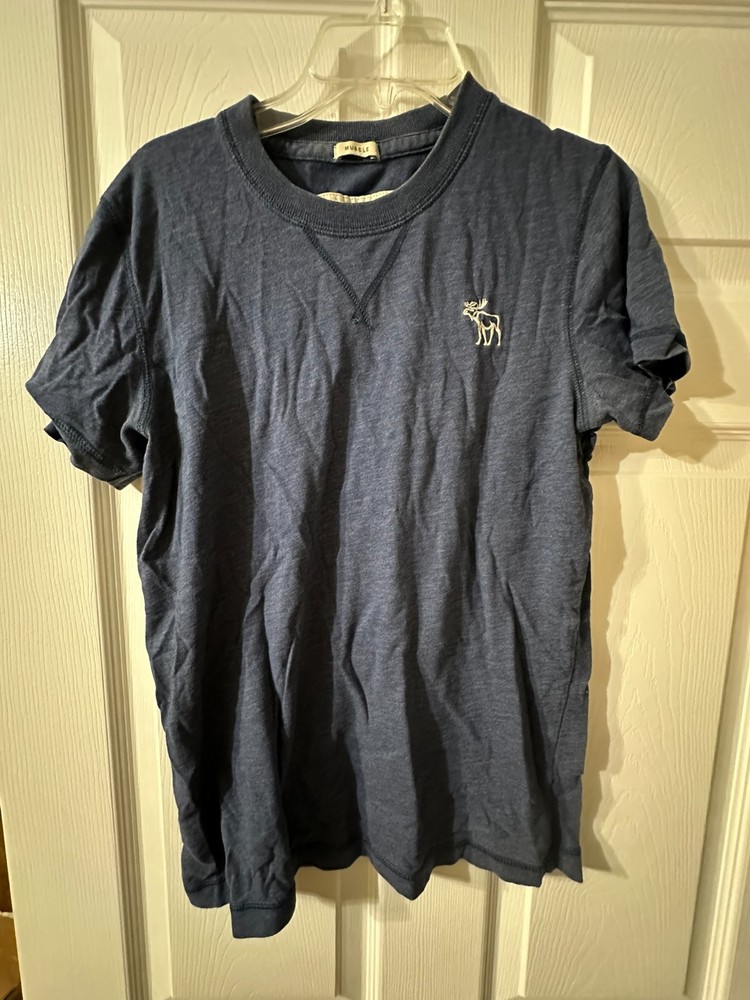 Abercrombie & Fitch T Shirt Mens Teens Size S Blue Muscle Fit-image