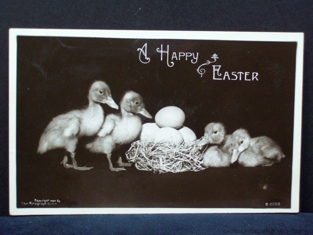 Vintage Easter Real Photo Postcard Ducklings Duck Egg Nest Rotograph CO RPPC Old