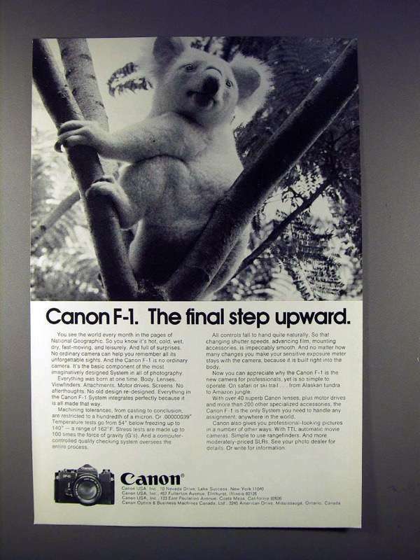 1974 Canon F-1 Camera Ad Classic Koala Wildlife Photography Iconic Final Step Collection