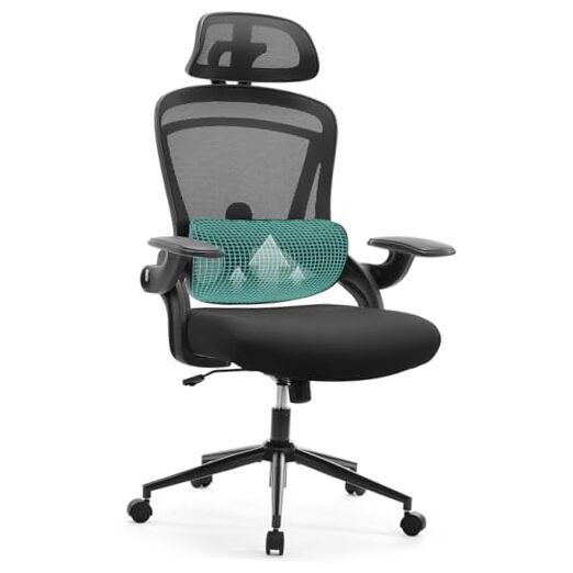 Ergonomic High Back Mesh Office Chair with 2D Armrests and Headrest in Black