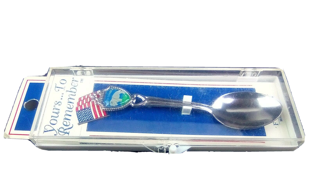 FORT Souvenir Silver Collector Spoon South Dakota Hearth Design With Case USA
