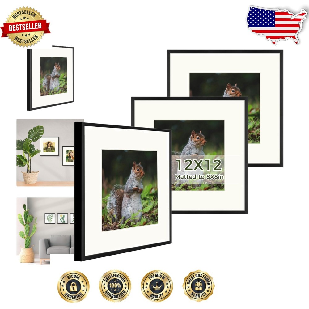 Set of 3 Black 12x12 Metal Picture Frames with Mat for Gallery Wall Elegance