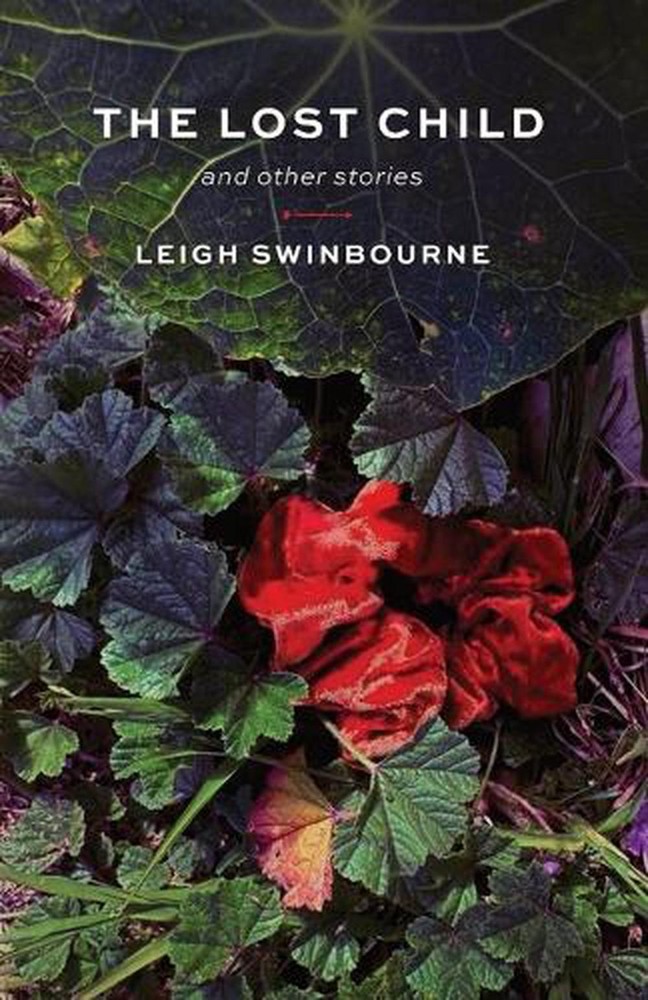 The Lost Child: and other stories by Leigh Swinbourne Paperback Book