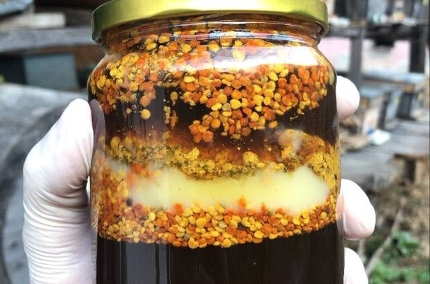 High Polyflora Raw Forest Honey - Pollen - Propolis - Royal Jelly - Bee Bread.