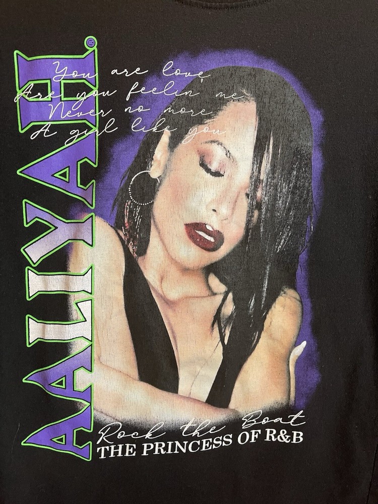 Aaliyah The Princess Of R&B Black T-T-Shirt Adult Small Black-image