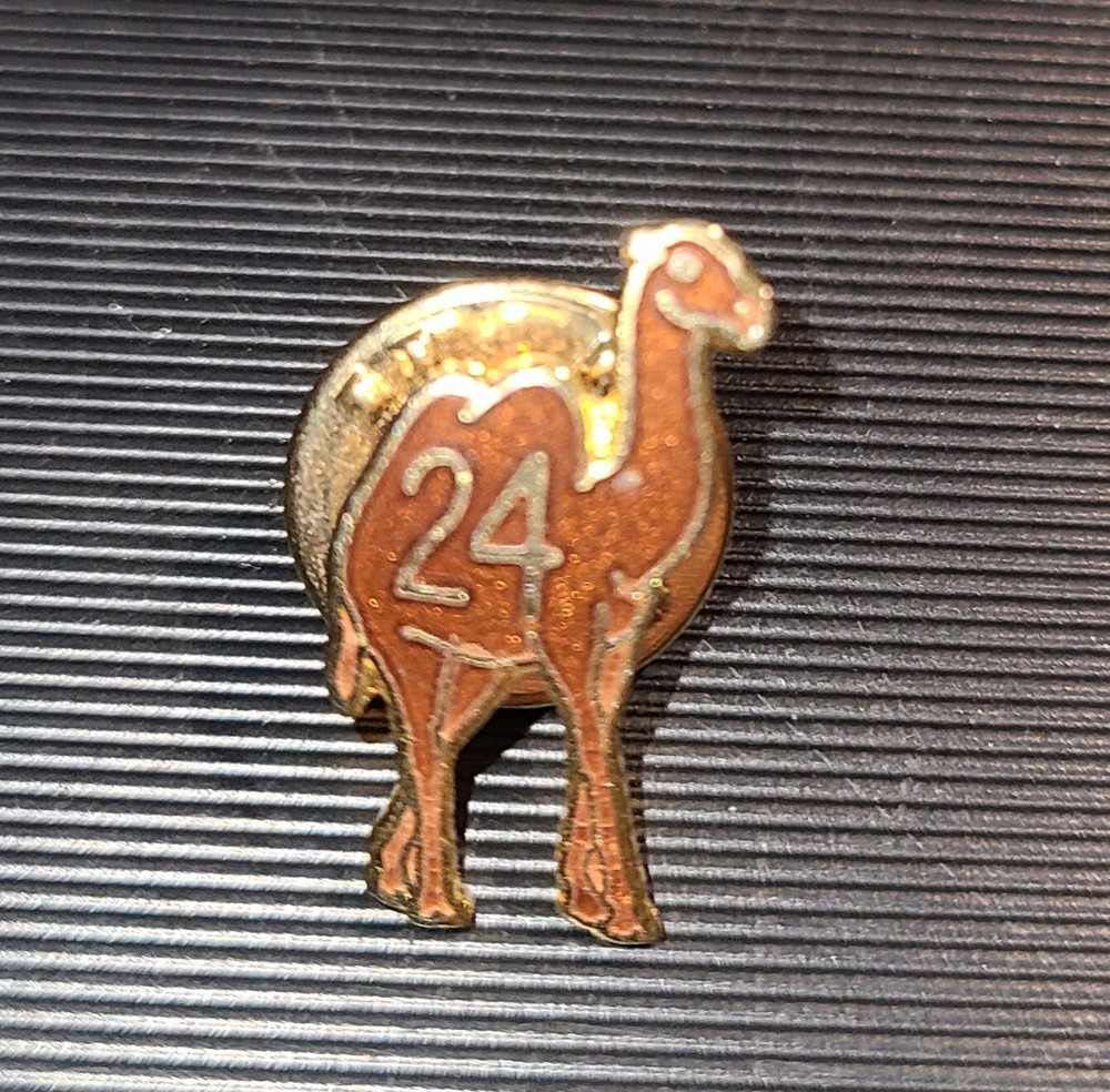 Alcoholics Anonymous AA 24 Hours Sober Award Camel Goldtone & Enamel Lapel Pin-image