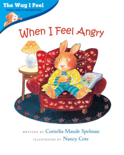 Managing Anger - The Way I Feel Paperback Book - Good Condition