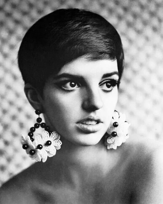 Liza Minnelli Posing Headshot 8x10 PHOTO PRINT