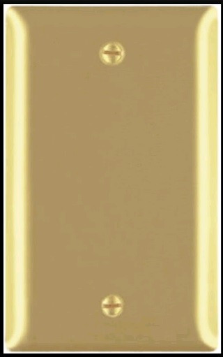 1 Gang  Blank Polished Brass Wall plate