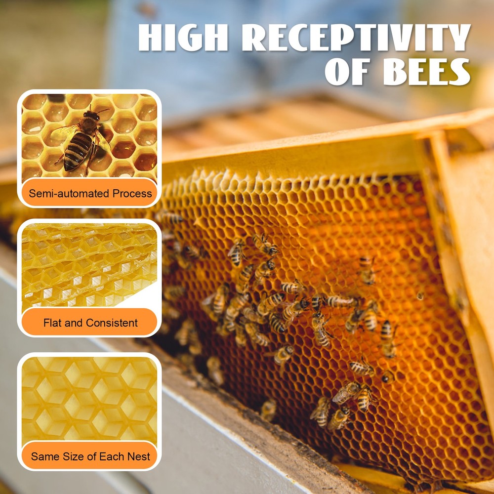 Bee Hive Foundation Honey Hive Equipment Deep House Nest Honeycomb Wax Frame