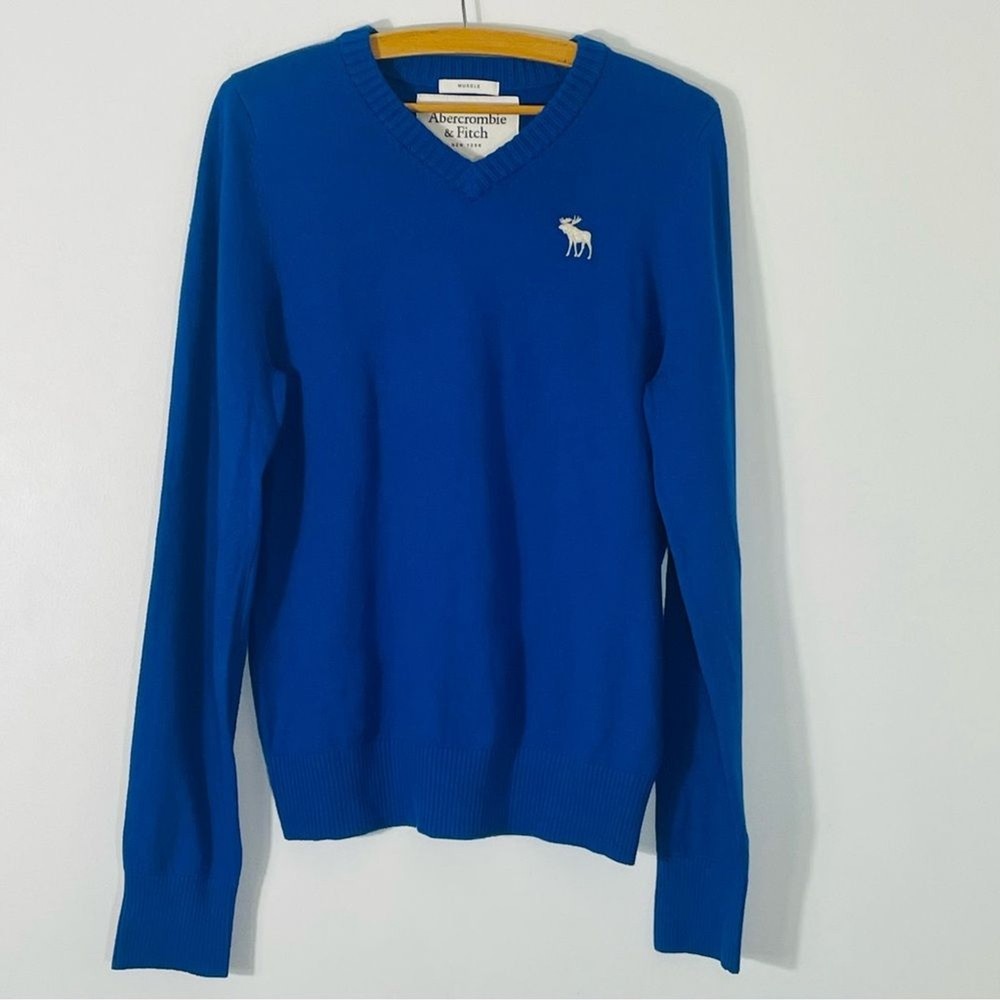 Abercrombie & Fitch Cashmere Wool Blend Blue Moose Muscle V Neck Sweater Size M-image