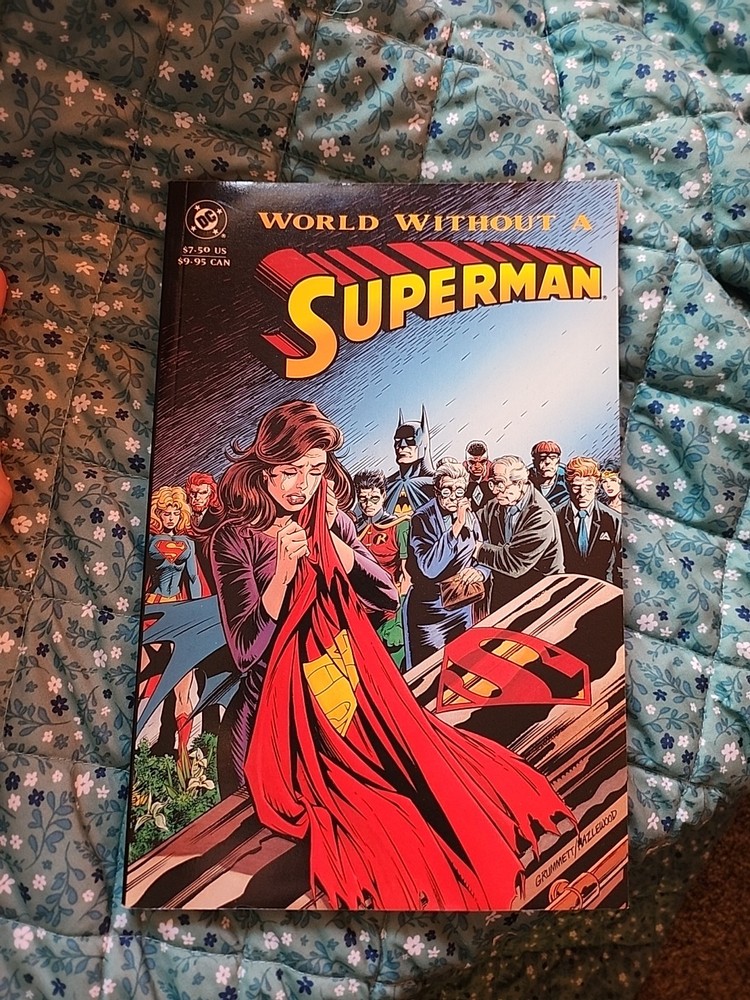 Superman World Without a Superman DC Comics 1993 Issue-image