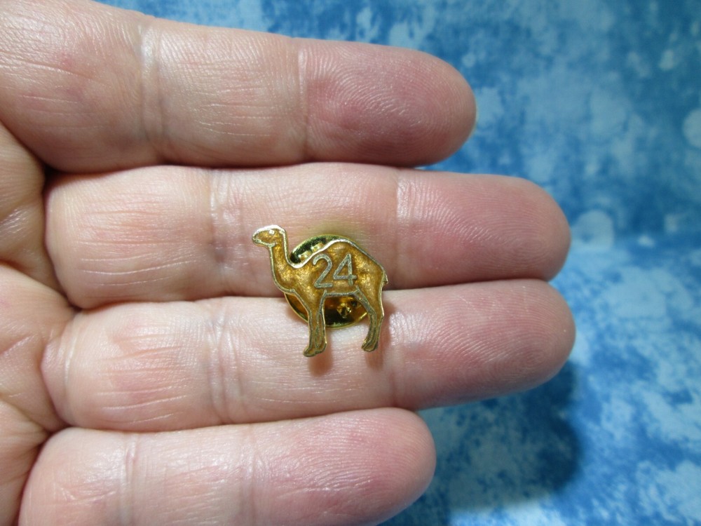 Alcoholics Anonymous AA 24 Hours Sober Award Camel Enamel Gold Tone Lapel Pin /L-image