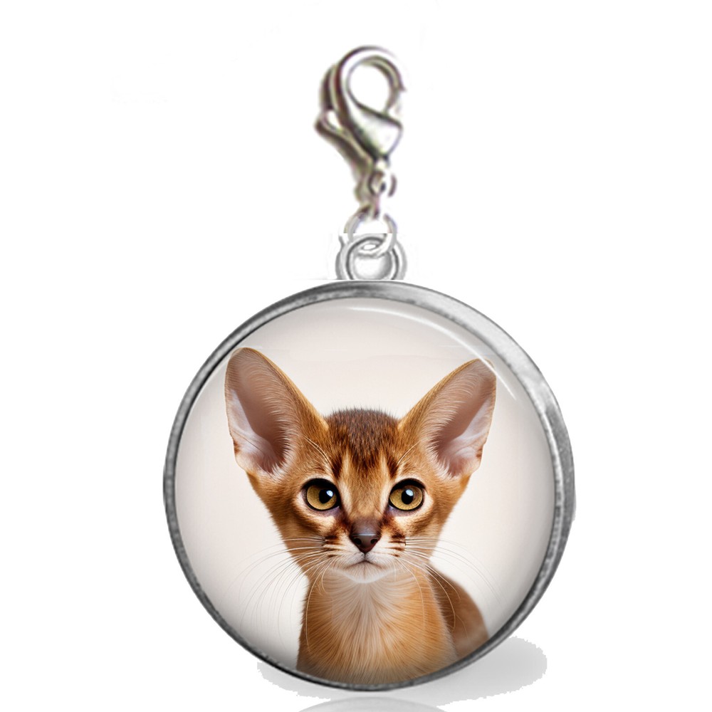 Abby Abyssinian Kitty Cat Clip On Charm Handcrafted Furbaby Photo Jewelry-image
