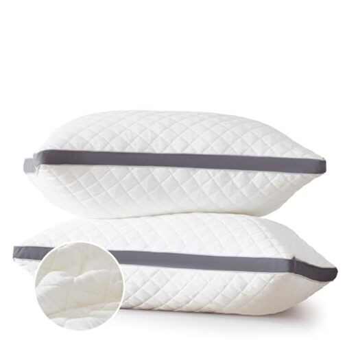 Queen Size Soft Fluffy Gusseted Edge Bed Pillows Set of 2