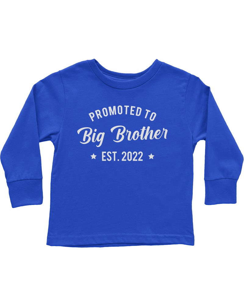 Promoted to Big Brother 2022 Toddler Long Sleeve T-Shirt Family Son Gift