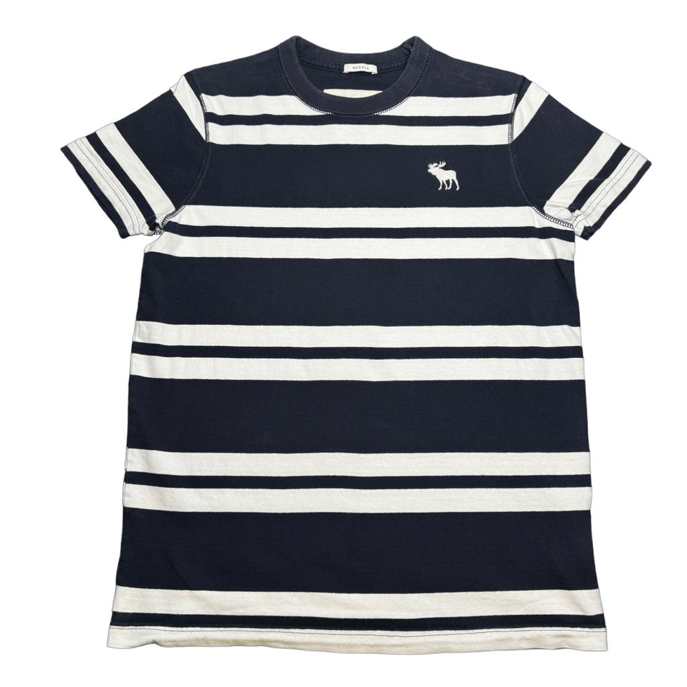 Abercrombie & Fitch Muscle Fit T Shirt Mens S Striped Navy Blue White Y2K Preppy-image
