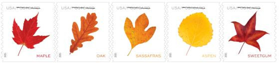 *NEW* 2025 Vibrant Leaves - Postcard Rate (Coil Strip of 5) MNH *(After 03/14)*