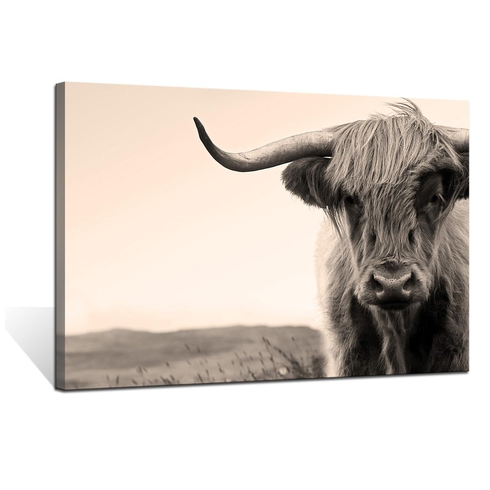 Farm Animal Canvas Wall Art Highland Cow with Long Horns Picture Print on Can...