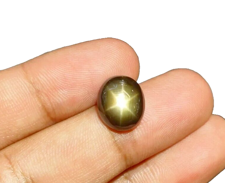Premium 9.04 Ct Black Star Sapphire with 6-Ray Star A1++ Quality
