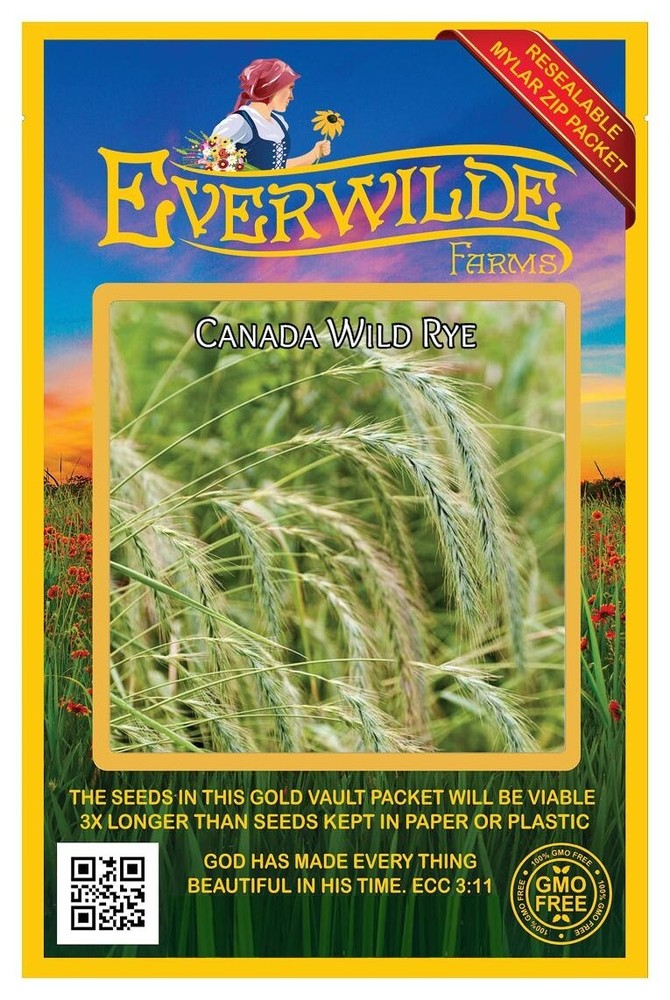 1 Oz Canada Wild Rye Native Grass Seeds in Mylar Packet by Everwilde Farms