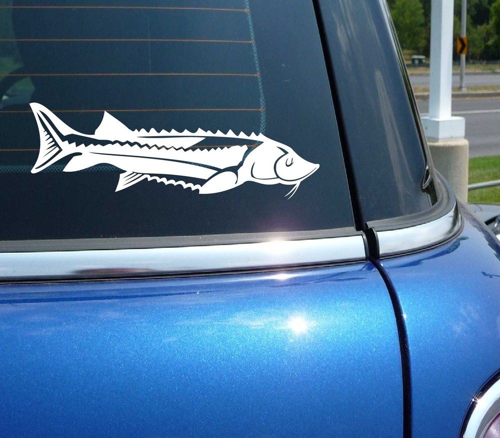 STURGEON FISH FISHING BAIT GRAPHIC DECAL STICKER ART CAR WALL DECOR