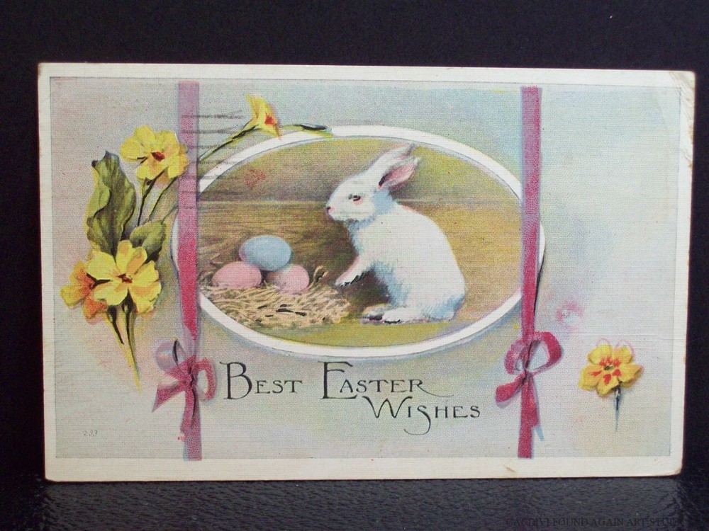 Easter Wish Postcard White Bunny Rabbit Painted Egg Nest Yellow Spring Flowers