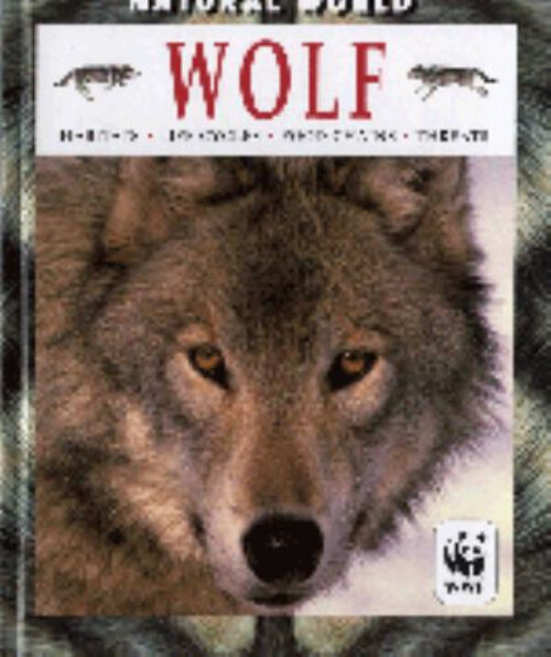 Wolf Paperback Michael Leach