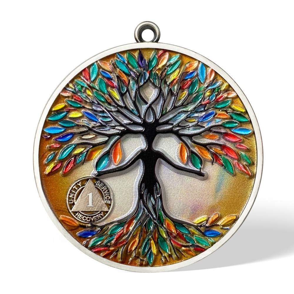 1 Year AA Sobriety Coin Pendant AA Necklace Recovery Gift Alcoholics Anonymous