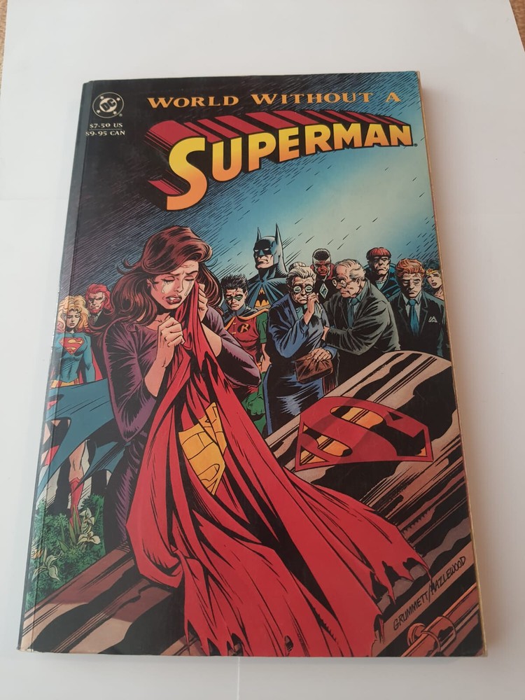 “World Without A Superman” Graphic Novel Book 1993-image