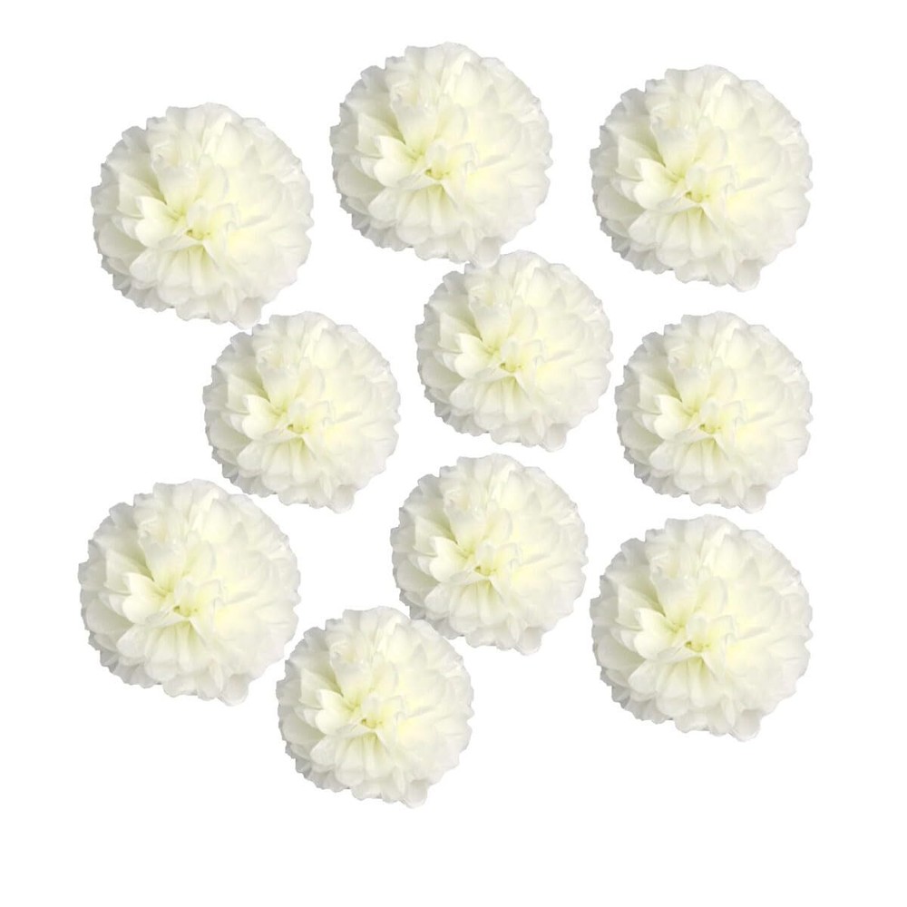 10pcs 8in 10in Cream/Beige Paper Pom Poms Tissue Paper Flower Hanging Paper F...