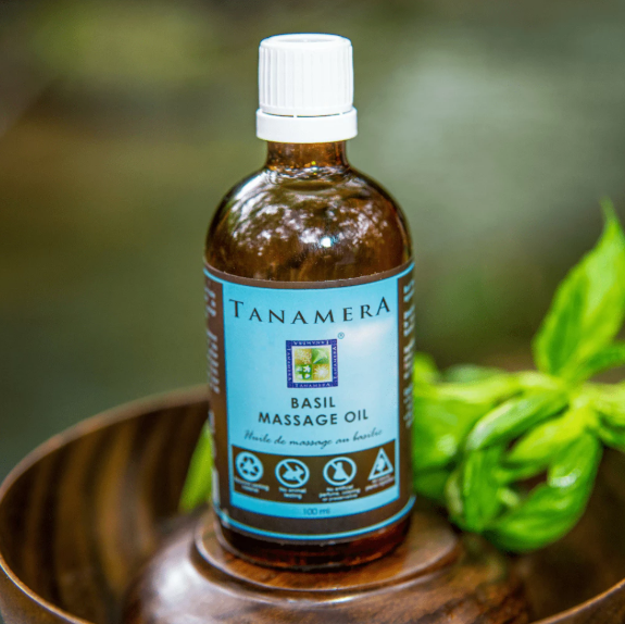 Tanamera Basil Massage Oil – Natural Herbal Oil for Stress Relief & Relaxation