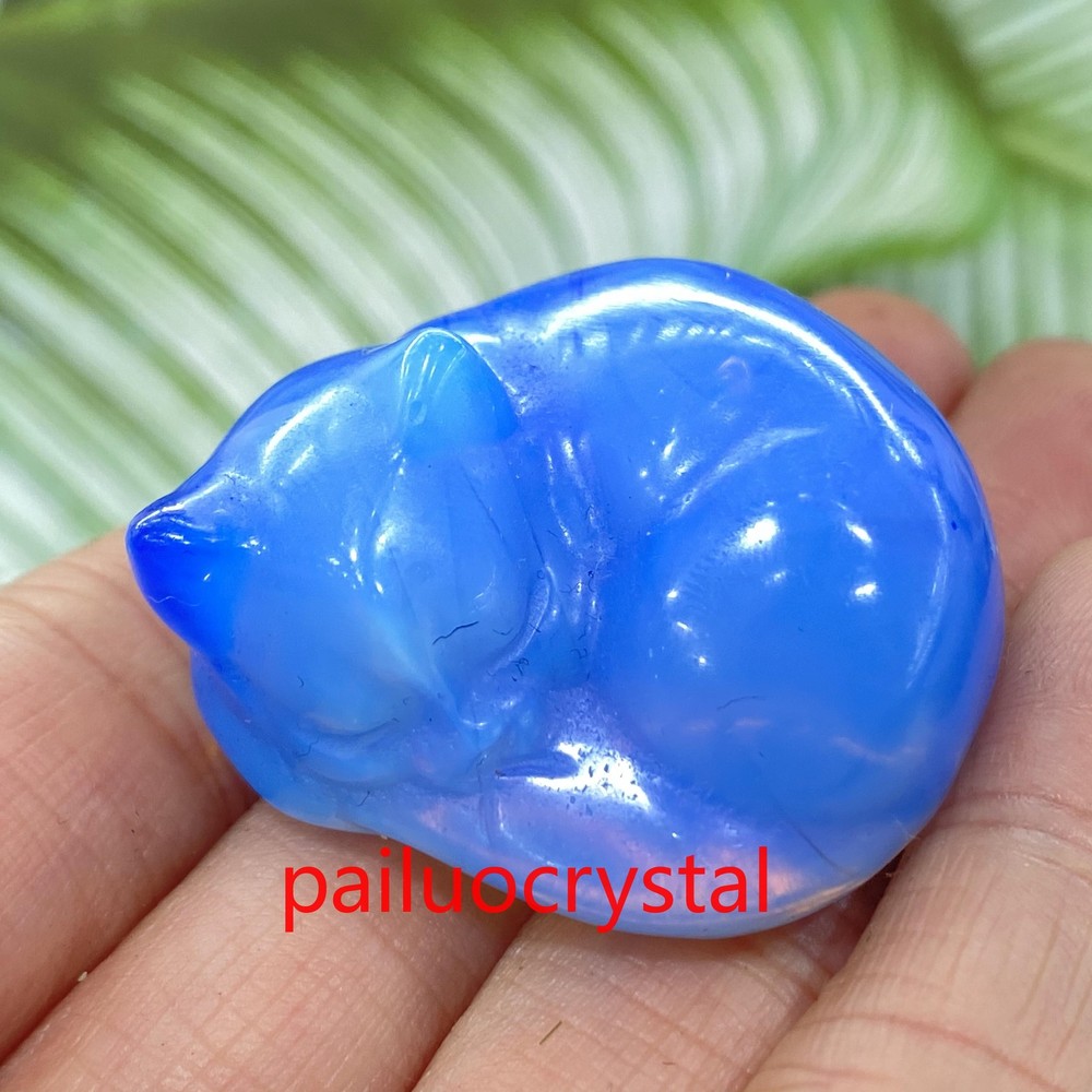 1pc Blue Opalite Cat Skull Quartz Crystal Skull Carved Figurines Healing 1.5