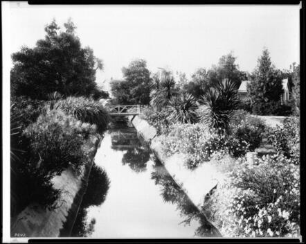 The Zanja Madre The Main Irrigation Ditch In Riverside 1903 Califo - Old Photo