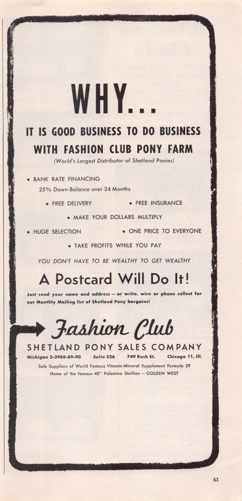 Fashion Club Shetland Pony Sales Company Chicago Illiinois Vintage Magazine Ad-image