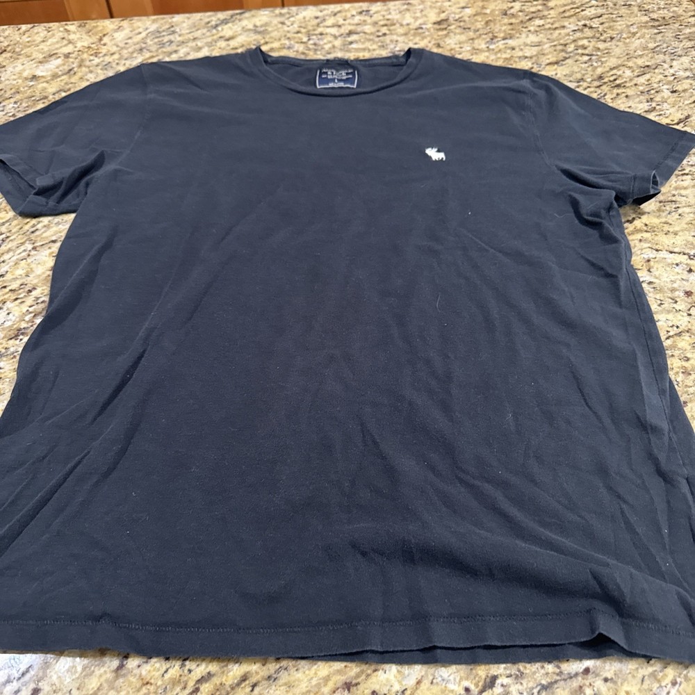 Abercrombie & Fitch T-Shirt Mens Large Embroidered Big Logo Blue Cpix-image