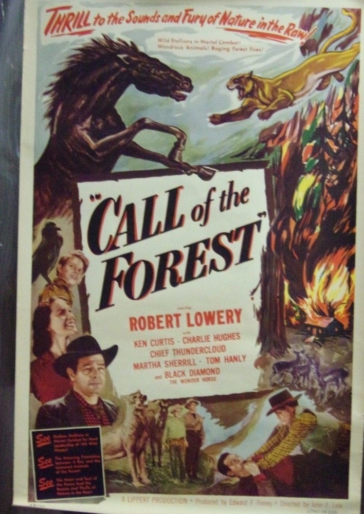 Call of the Forest Original 1949 Single Sided 27x40 Movie Poster Robert Lowery