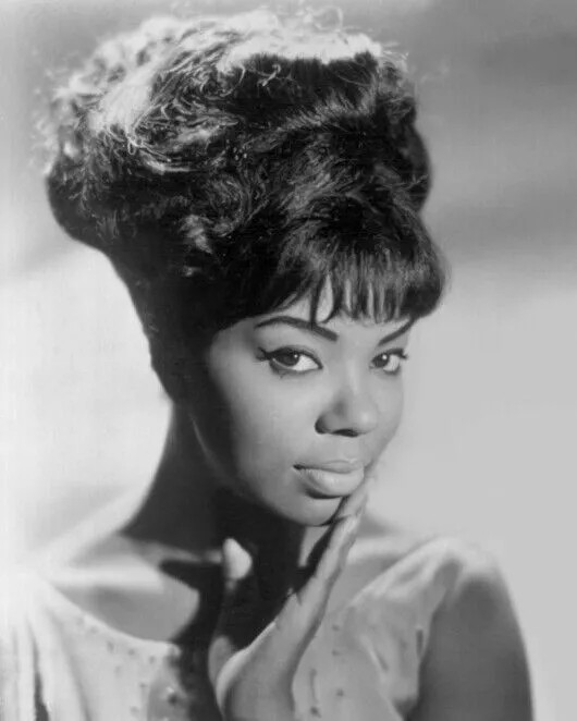 Mary Wells Beautiful Portrait 4x6 Picture Celebrity Print