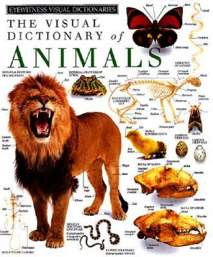 The Visual Dictionary of Animals - Hardcover By Clare Shedden - GOOD