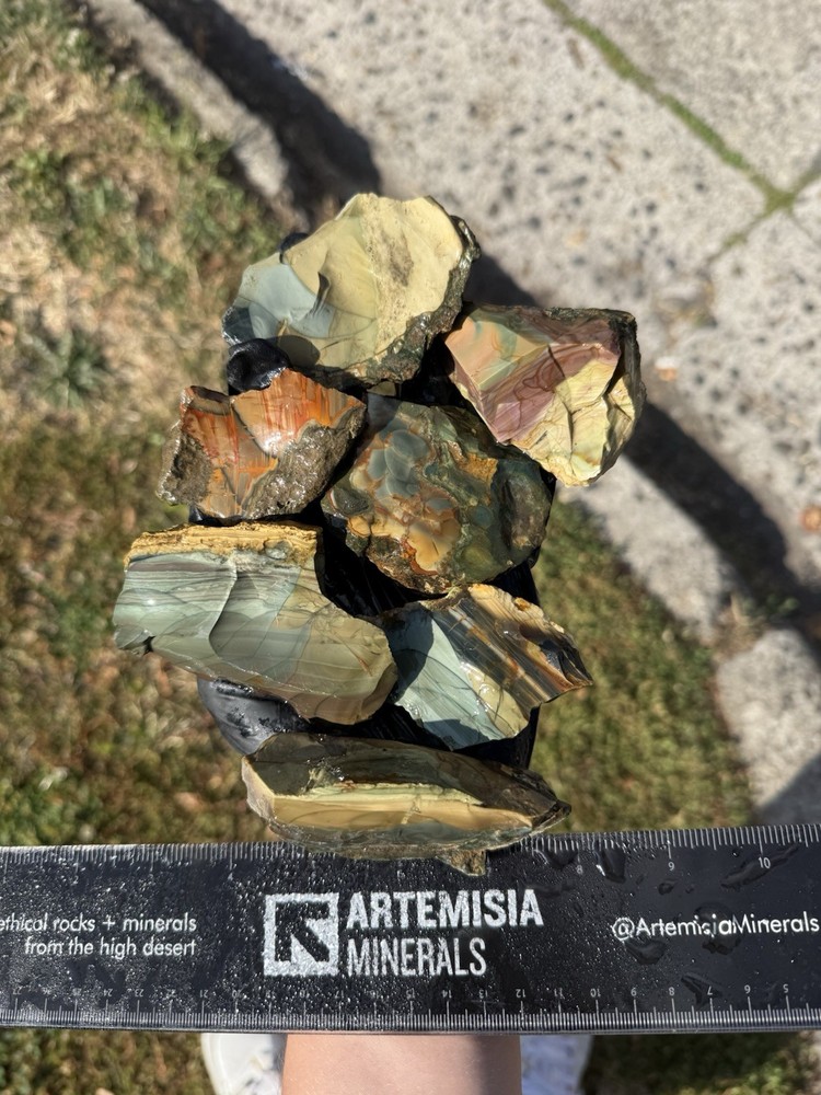 Premium Blue Mountain Picture Jasper Rough - Rare Oregon Old Stock