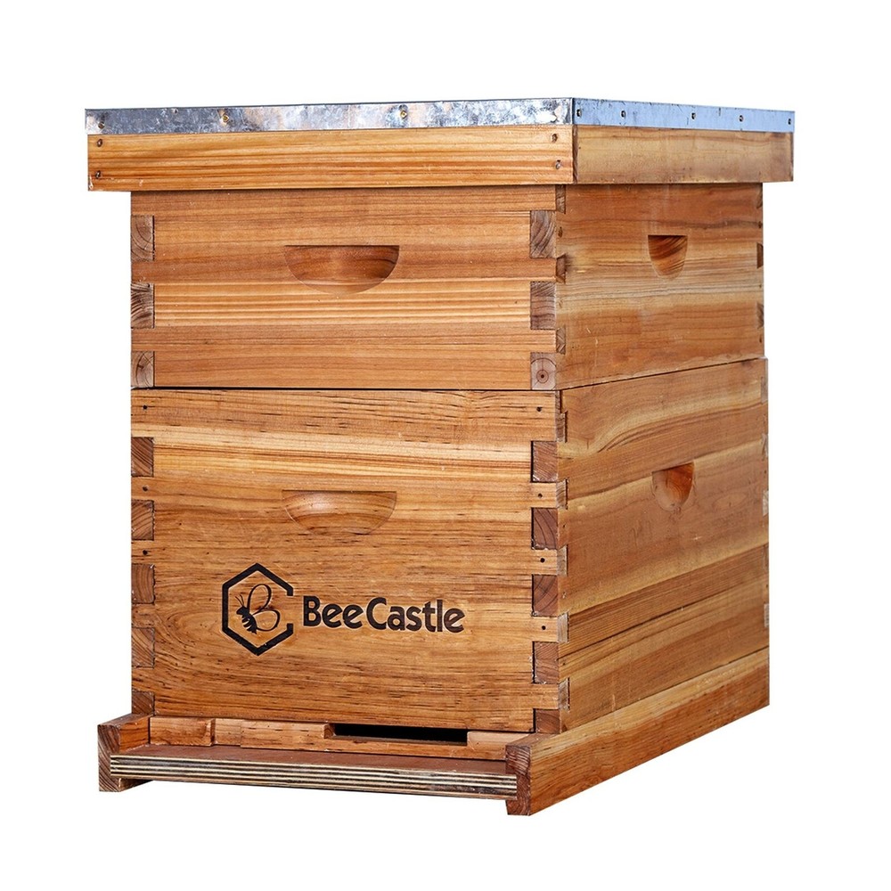 100% Pure Beeswax 10-Frame Complete Beehive Kit with Coated Frames by BeeCastle