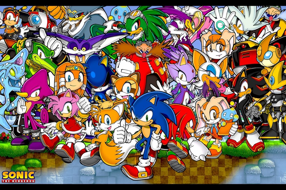 Sonic the Hedgehog Poster Wall Art Home Decor Photo Prints 16x24, 20x30, 24x36