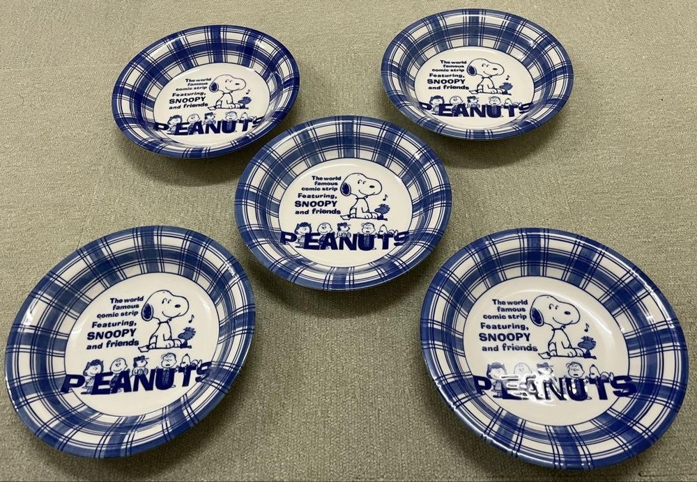 SNOOPY Peanuts Themed 5-Piece Plate Set for Fun Dining