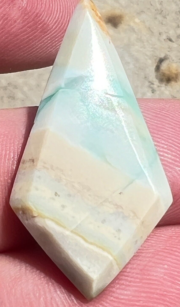 Indonesian Blue Opalized wood Diamond Cabochon 19cts