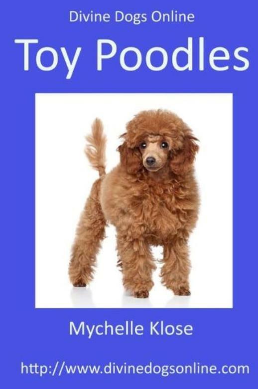 Divine Dogs Online Cute Toy Poodles for Sale