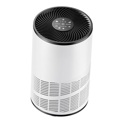 Air Purifier for Home Large Room, Air Filter with H13 HEPA, Small Air