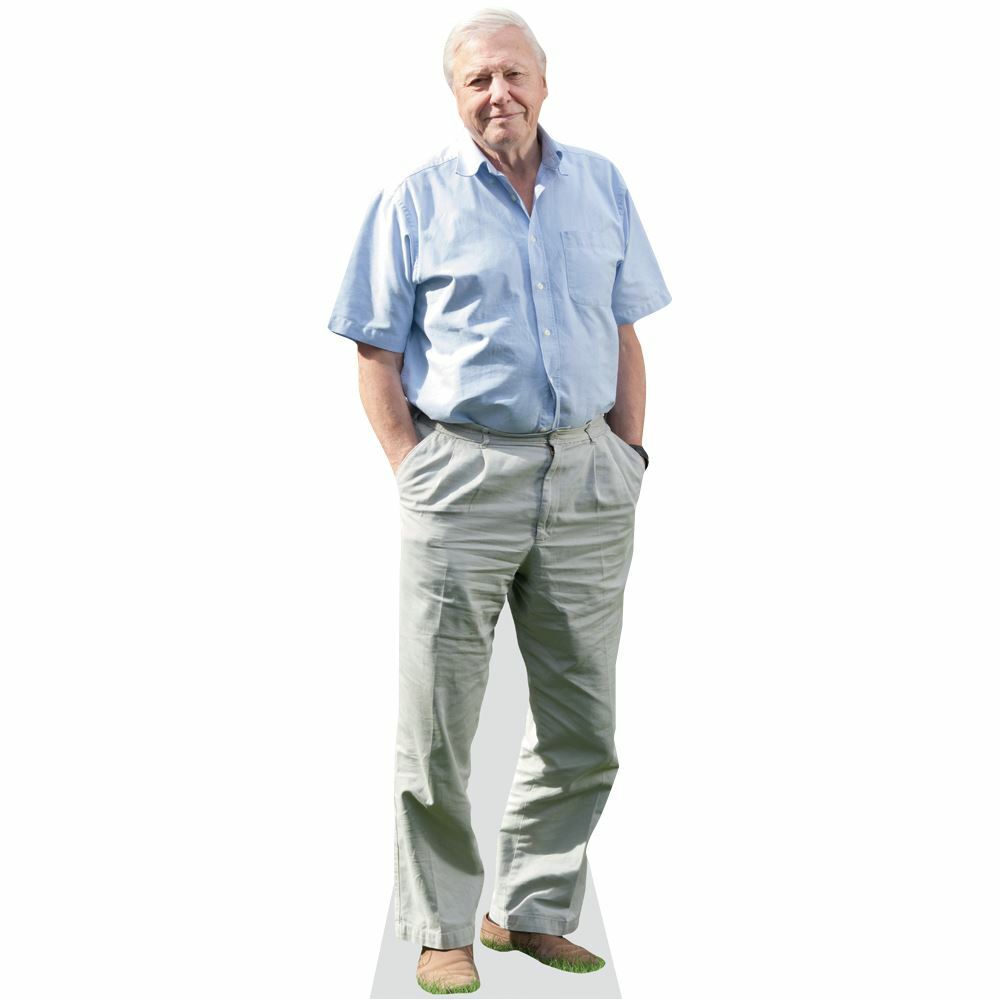 David Attenborough Mini Size Cutout
